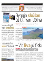 Síða 8