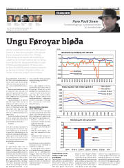 Síða 17