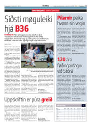 Síða 35