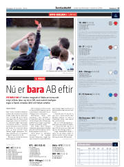 Síða 17
