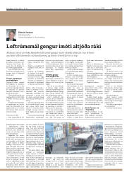 Síða 25