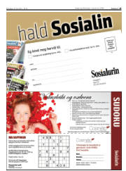 Síða 29