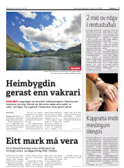 Síða 7
