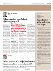 Síða 17