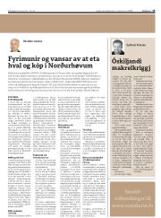 Síða 19