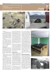 Síða 21