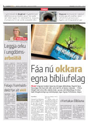 Síða 6