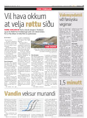 Síða 19