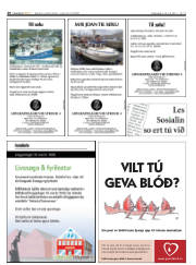 Síða 20