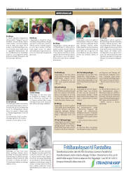 Síða 29