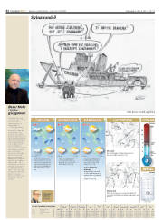 Síða 32