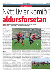 Síða 13