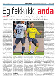 Síða 17