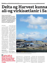 Síða 22