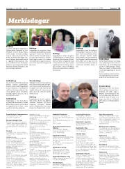 Síða 31