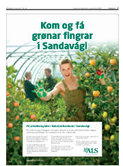 Síða 3