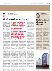 Síða 19
