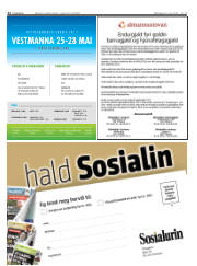 Síða 22