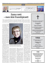 Síða 17