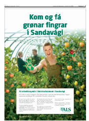 Síða 3