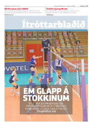 Síða 13