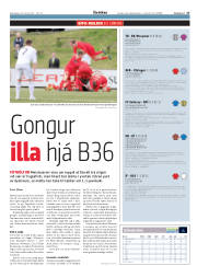 Síða 17