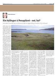 Síða 25