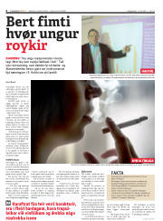 Síða 6