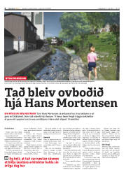 Síða 8