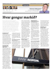 Síða 17