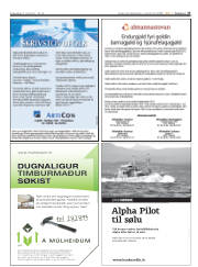 Síða 27