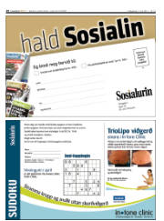 Síða 28