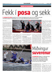 Síða 15