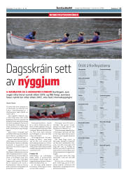 Síða 17