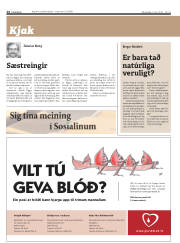Síða 24