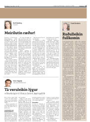Síða 25