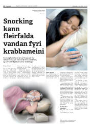 Síða 26
