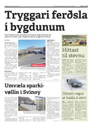 Síða 13