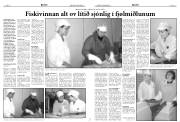 Síða 8