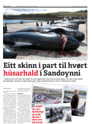 Síða 16