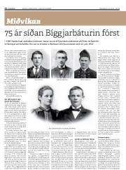Síða 22