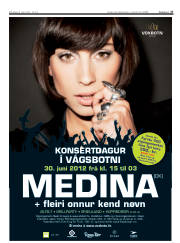 Síða 27