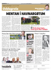 Síða 2