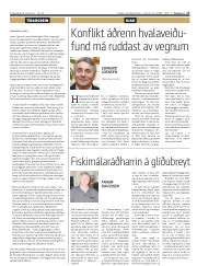 Síða 17