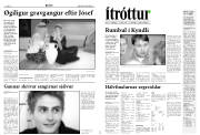 Síða 12