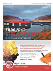 Síða 25