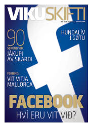 Síða 33