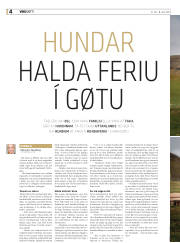 Síða 36
