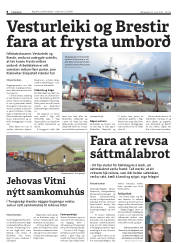 Síða 8