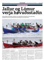 Síða 19